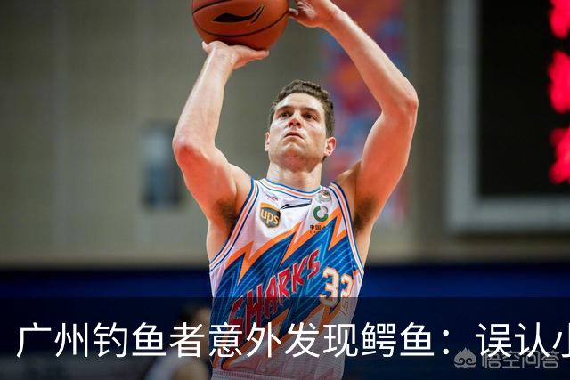 广州钓鱼者意外发现鳄鱼：误认小动物的惊险瞬间