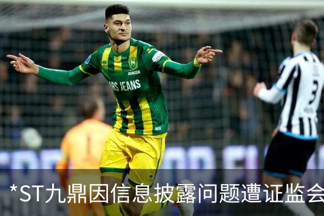 *ST九鼎因信息披露问题遭证监会立案调查